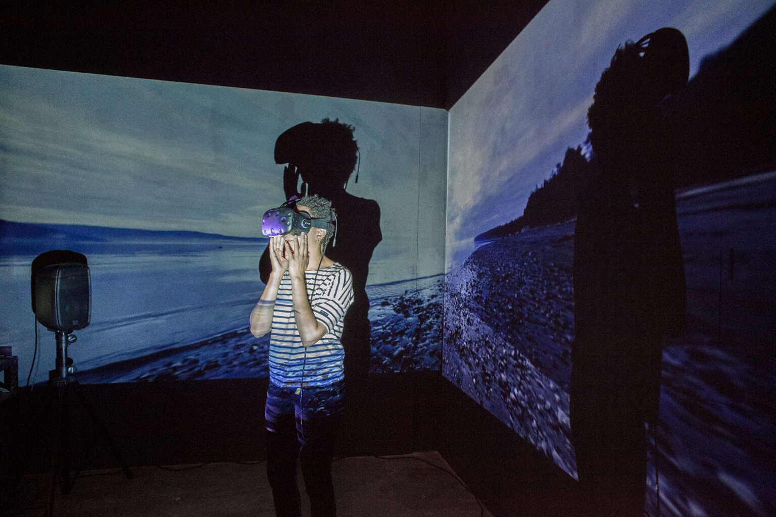 Island de Olivia McGilchrist, 2018