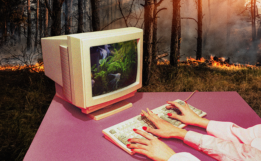 Programmation 2024-2026 Nostalgie, écologie et simulacre de TOPO - Centre de création numérique