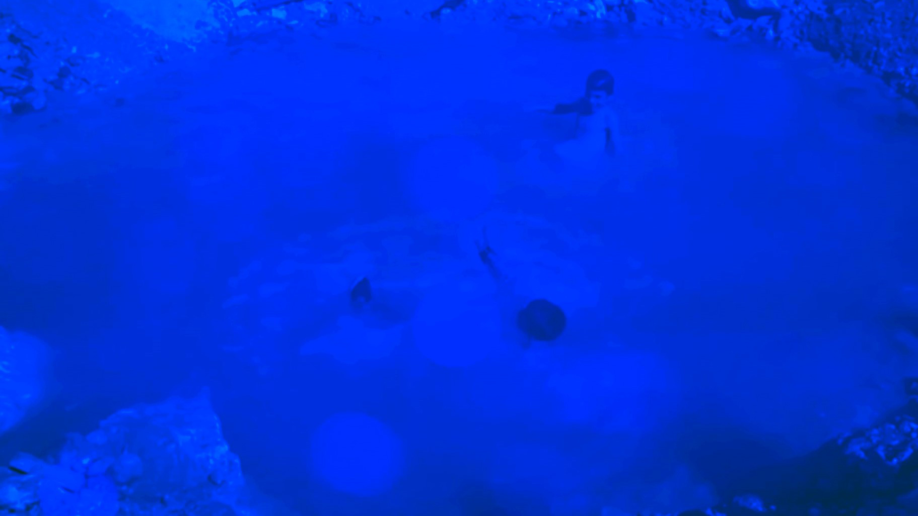 Au jour le jour de Leila Zelli adapté pour le web par TOPO - Centre de création numérique