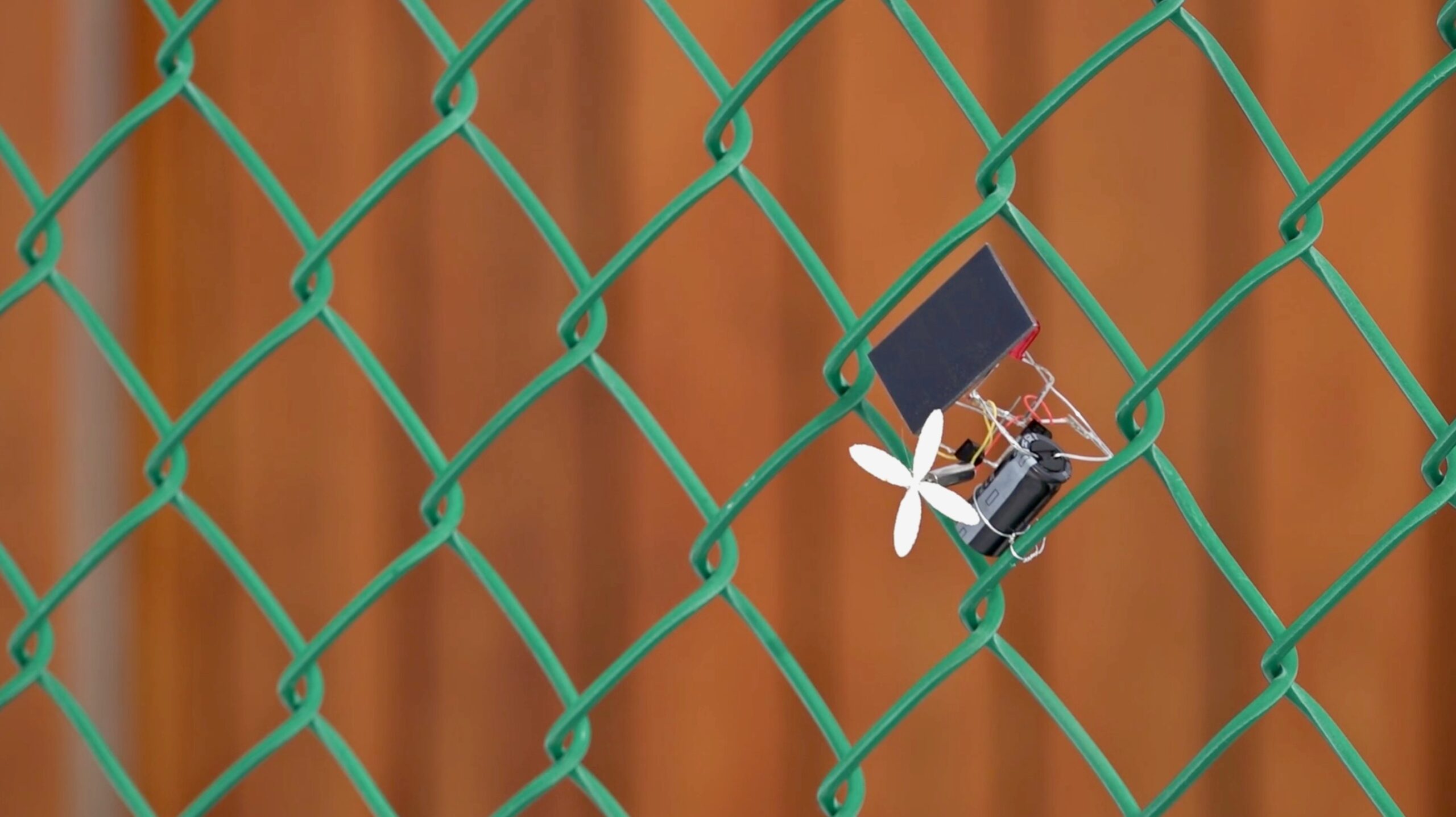 Unusual critters de Léa Boudreau